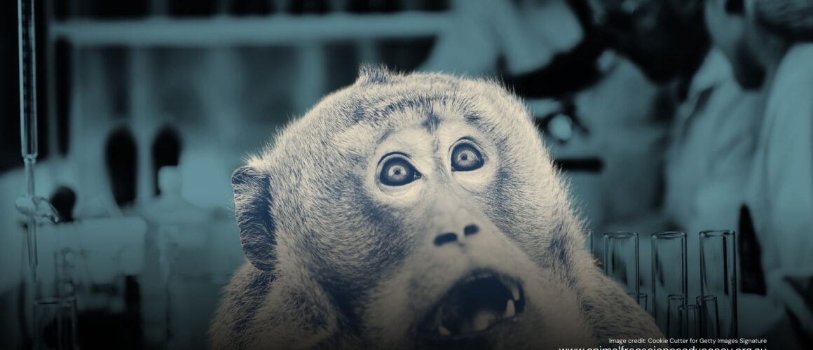 A macaque with a fearful look within a darkened lab