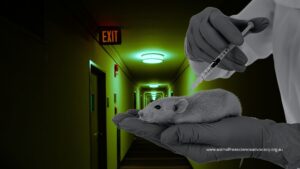 a tiny mouse being injected with chemicals in a forboding lab background