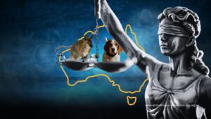 Australian regulations. Lady Justice with scales containing animals and a background of Australian map