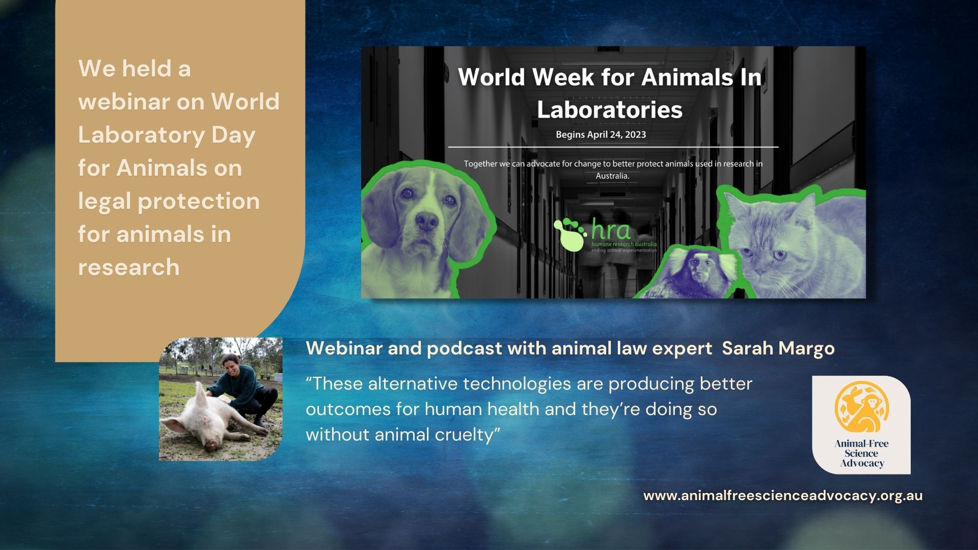 Animal Law Expert Sarah Margo | Animal-Free Science Advocacy Achievements | Animal-Free Science Advocacy