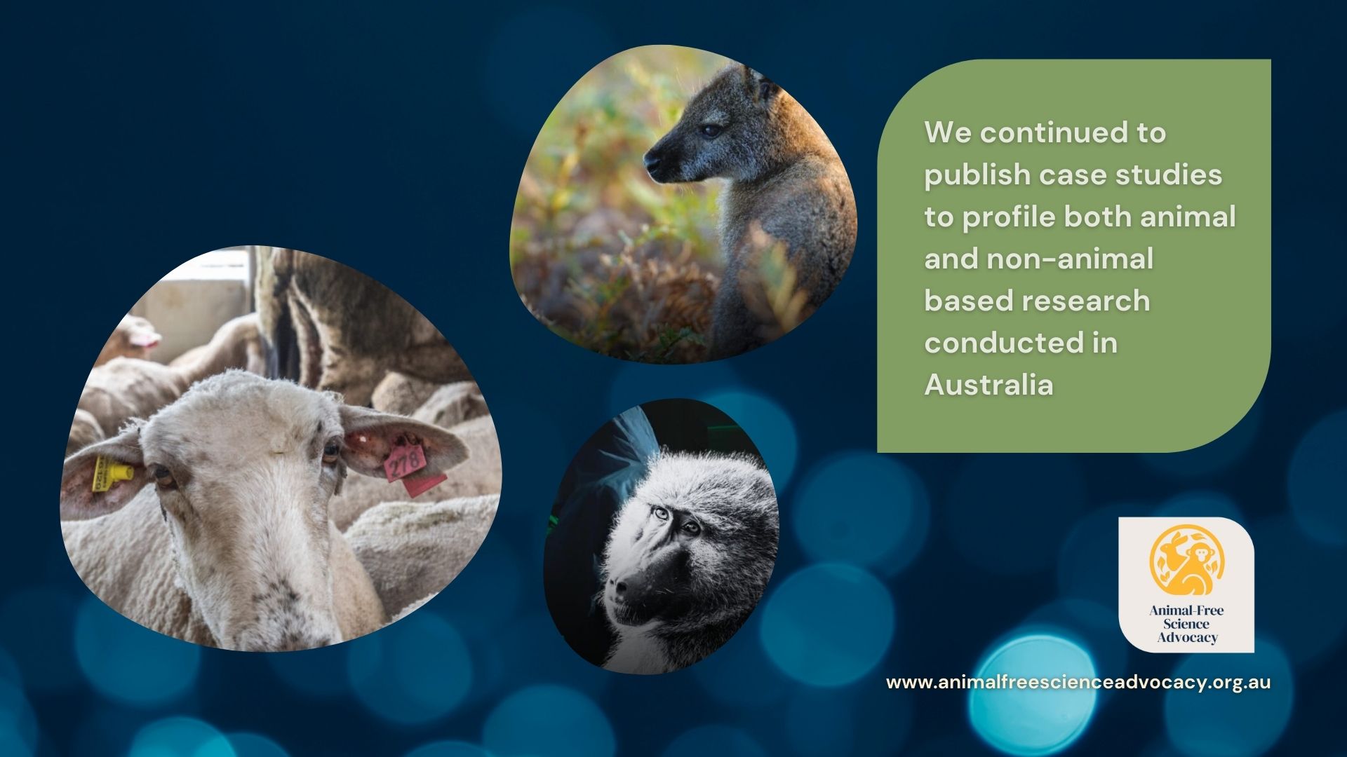 Case Studies | Animal-Free Science Advocacy Achievements | Animal-Free Science Advocacy