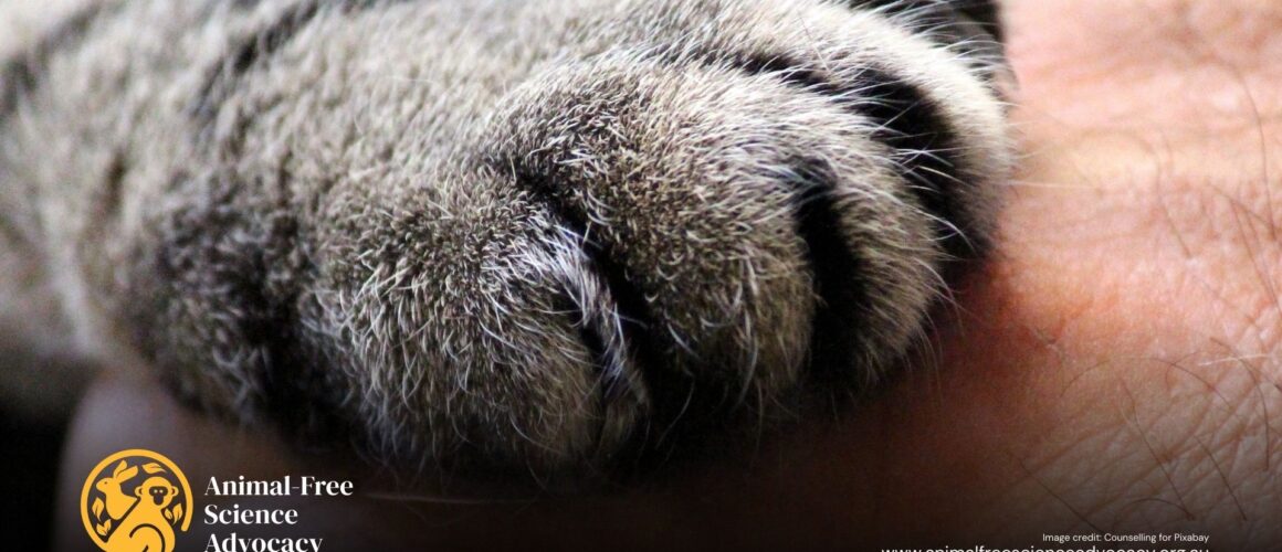 A large cats paw touching the skin of a human