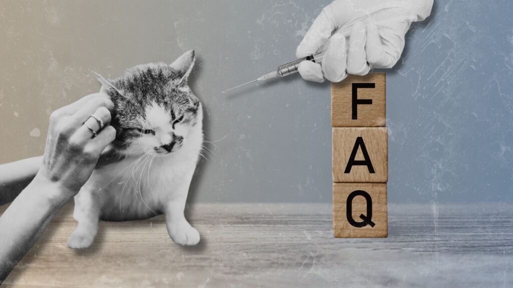 FAQs - veterinary research