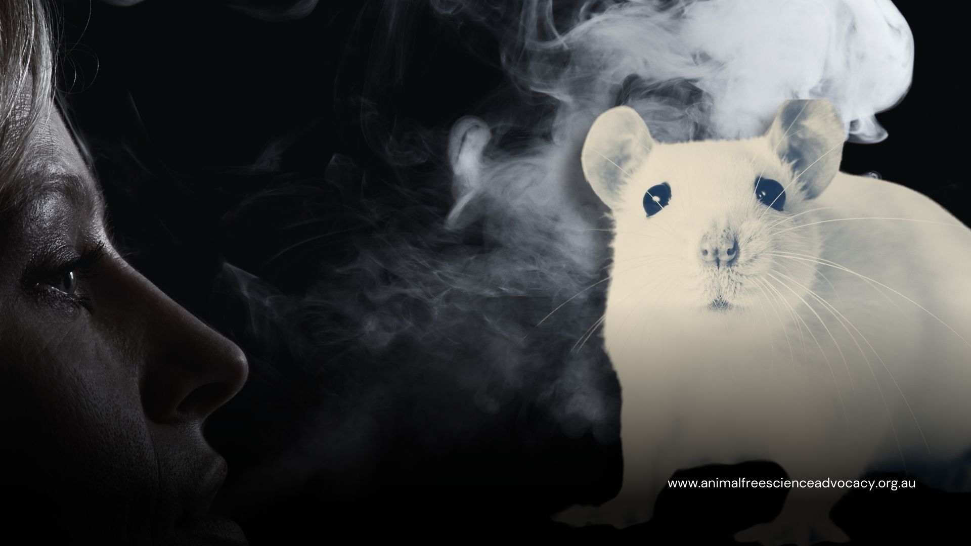 Forced to smoke cover - AFSA new branding (2)