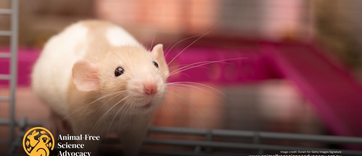 Beautiful and gentle tiny mouse in her cage in a lab facility