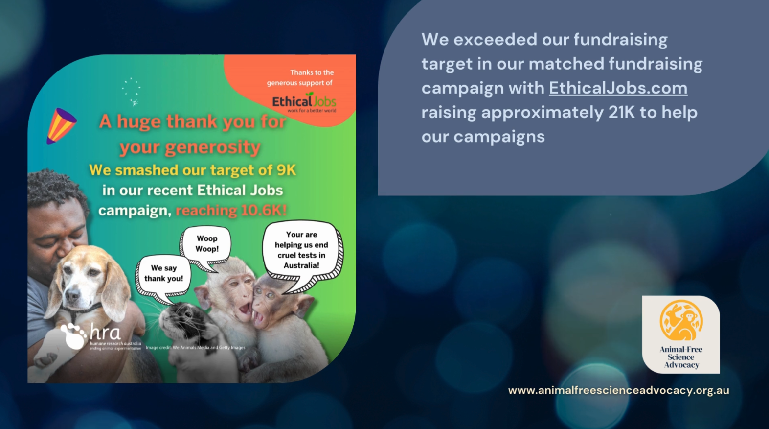 Successful Fundraising | Animal-Free Science Advocacy Achievements | Animal-Free Science Advocacy