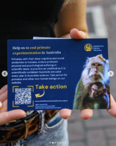 Animal Kind AU Helping us Promote Primate Campaign 2024