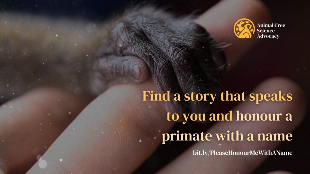 Find a story that resonates with you and honour a primate with a name